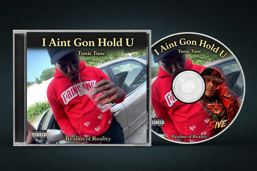 I Aint Gon Hold U cover
